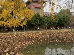 -四川大学(华西校区)