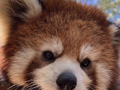 -哈尔滨北方森林动物园