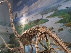 -自贡恐龙博物馆