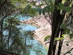 -广州市流溪河国家森林公园