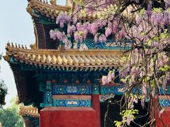 -北京国子监胡同