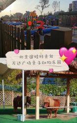 -萌宠亲子动物乐园(槐房万达店)