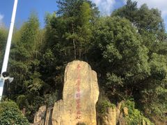 -长沙黑麋峰国家森林公园