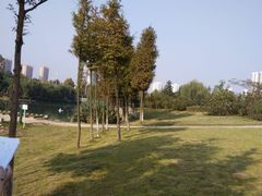 -滨湖塘西河公园