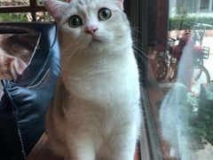 -咖法森林·咖啡  酒吧(天河店)