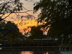 -深圳仙湖植物园