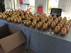 -印堂精品装饰丨一站式装修(宜山店)