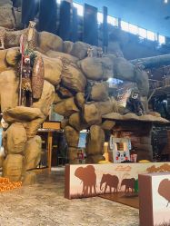 -卡通尼·Safari非洲探索乐园·生日会(金桥国际商业广场店)