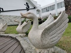 -碧海金沙