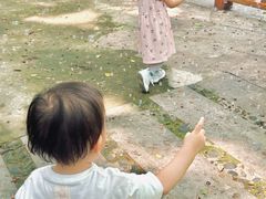 -晓港公园