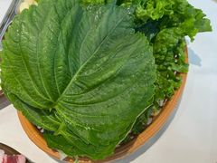 -白山烧烤(文安路万豪店)
