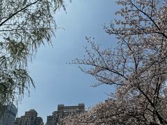 -西北湖绿化广场