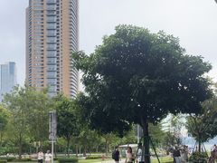 -SAANCI山池咖啡(海上世界文化艺术中心店)