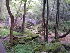 -牛背梁国家森林公园
