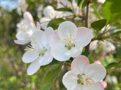 -蜀冈西峰生态公园