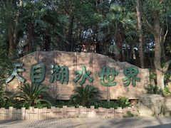 -天乐农家鱼头王(天目湖店)