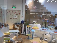 -COLOR PETS 撸猫馆·购猫·猫咖(长风大悦城店)