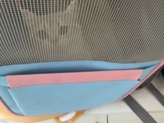 -全心全意连锁动物医院·微创中心·内科急重症·心脏专科(丰管路店)