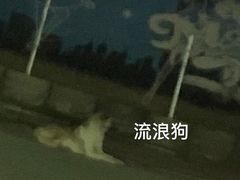 -枫花园汽车电影院(朝阳公园店)