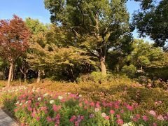 -上海滨江森林公园