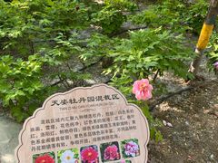 -太阳宫公园