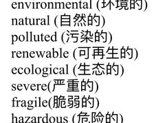 -I-Shine英语国际教育(御桥张江中心)