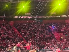 -俄罗斯国家大马戏团