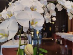 -北京金融街丽思卡尔顿酒店·意味轩 Cepe
