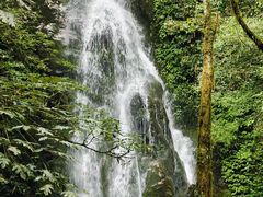 -梵净山旅游区