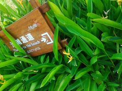 -三亚亚龙湾五号度假别墅酒店