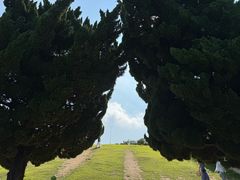 -小麦岛公园