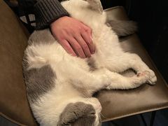 -后院儿·精酿·塔罗Happy Bar