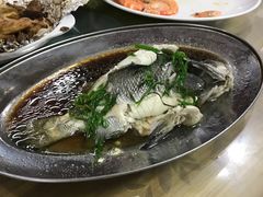清蒸海鱼-大众海鲜加工大排档(金海湾大道店)