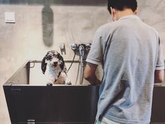 -PETKIT 小佩宠物·低压洗护·美容·寄养(安远店)