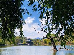 -黑龙潭公园