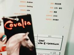 -cavalia·舞马