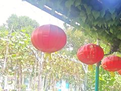 -姥家大锅台水库渔家