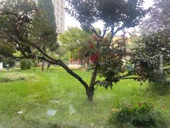 -九献创意菜·牛排馆(亮马河花园店)