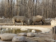 -北京野生动物园