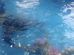 -月儿湾婴幼儿水育中心(门头沟石门营店)