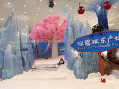 -湘江欢乐城欢乐雪域