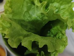 -韩九点烤肉(大学城店)