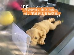 -喜洲吧·江畔老船厂·庭院餐厅(喜临院店)