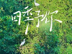 -深圳湾公园(南山区)