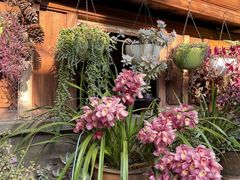 -龙姐私房菜(和顺古镇店)