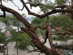 -江心屿景区