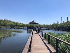 -前关湿地公园
