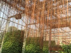 -上海多利农业发展有限公司