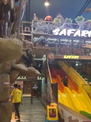 -卡通尼·Safari非洲探索乐园·生日会(金桥国际商业广场店)