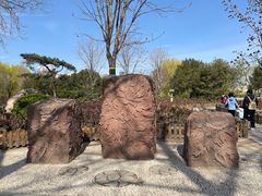 -莲花池公园